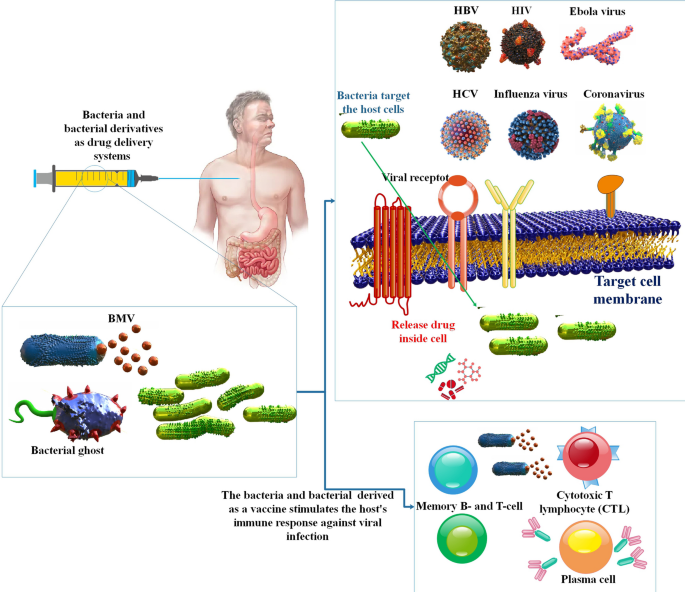 glutathione and viruses The Role of Glutathione in the Management of Cell-Mediated Immune Responses  in Individuals with HIV
