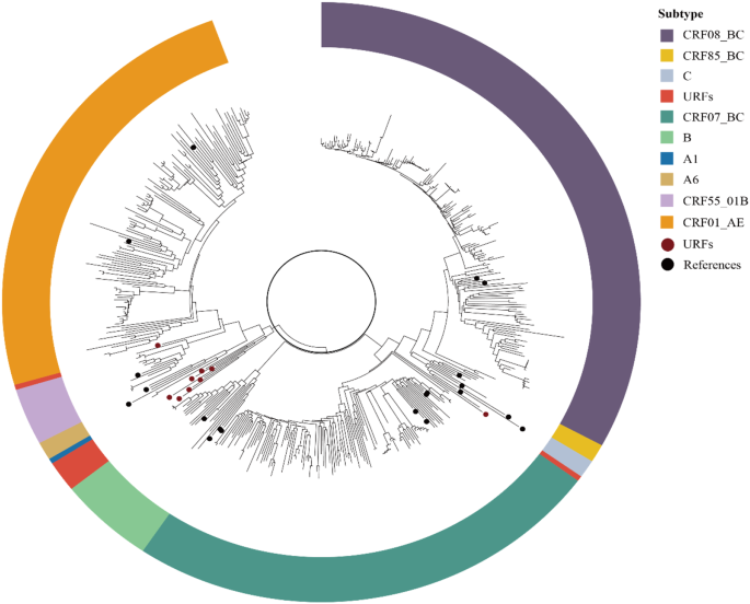 Characteristics of molecular epidemiology and transmitted drug resistance among newly diagnosed HIV-1 infections in Lishui, China from 2020 to 2023