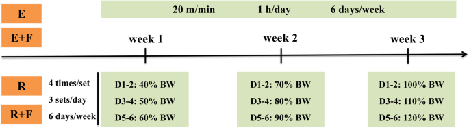 ipamorelin plus tesamorelin Tesamorelin + Ipamorelin Blend 5mg / 5mg