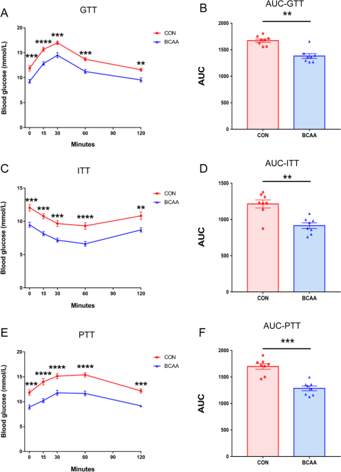 Preoperative administration of branched-chain amino acids reduces  postoperative insulin resistance in rats by reducing liver gluconeogenesis  | Nutrition & Metabolism | Full Text