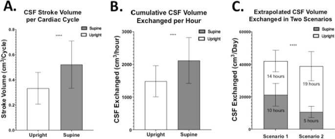 3 Ways Upright Cardiac Imaging Is Different From Supine