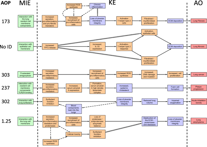 Toxicity pathways. Toxicity pathways describe the processes by