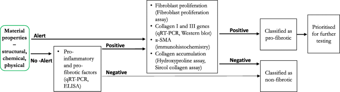 Toxicity pathways. Toxicity pathways describe the processes by