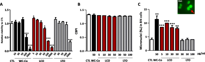 In Vivo Rat Micronucleus Test - STEMart