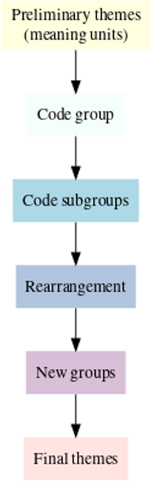 Themes and identified meaning-units