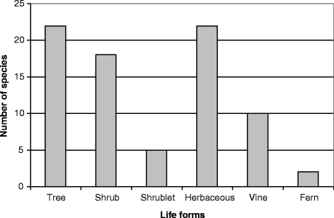 L'Arbre vert - Index of brands - CosmeticOBS - L'Observatoire des