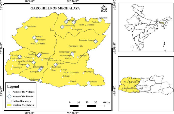 Ethnobotanical knowledge of wild edible plants for empowering food and nutritional security in the Garo Hills, India | Journal of Ethnobiology and Ethnomedicine | Springer Nature Link Ethnobotanical knowledge of wild edible plants for empowering food and nutritional security in the Garo Hills, India | Journal of Ethnobiology and Ethnomedicine | Springer Nature Link