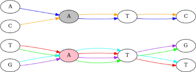 AlfaPang: alignment free algorithm for pangenome graph construction |  Algorithms for Molecular Biology | Springer Nature Link