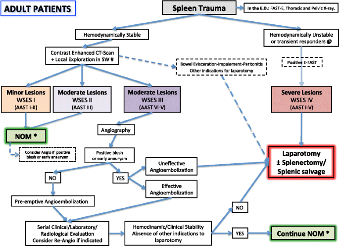Splenic trauma: WSES classification and guidelines for adult and pediatric  patients | World Journal of Emergency Surgery | Full Text