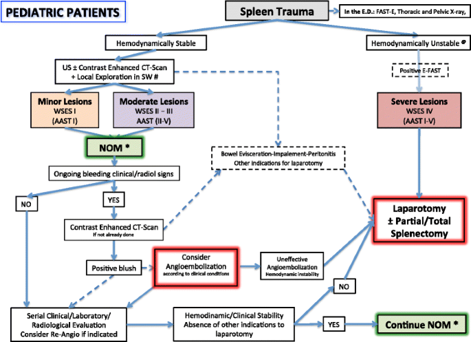 Splenic trauma: WSES classification and guidelines for adult and pediatric  patients | World Journal of Emergency Surgery | Full Text