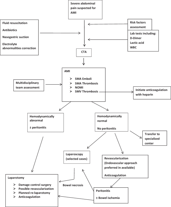 Decision making algorithm for the management of acute abdomen after