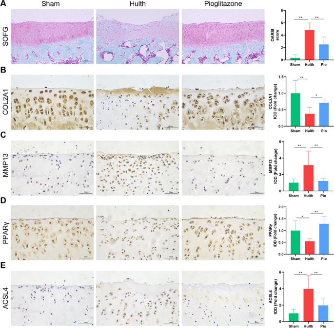 tesamorelin cjc1295/ipamorelin blend dosage Tesamorelin vs CJC-1295/Ipamorelin: Which Growth Hormone Peptide Is Right  for You?