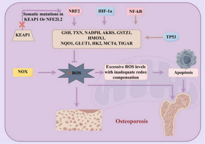 cjc-1295 ipamorelin dosage protocol what is cjc 1295 ipamorelin CJC-1295/Ipamorelin Dosage Protocol: The  Complete Clinical Guide to Dosing,