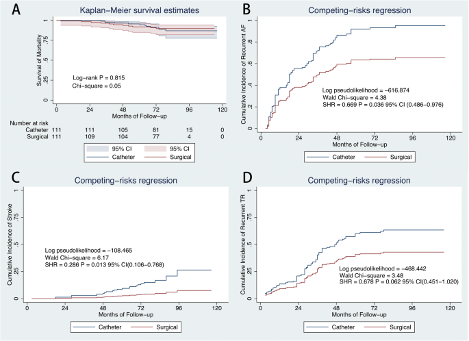 Kaplan-Meier curves showing the cumulative incidence of recurrence.