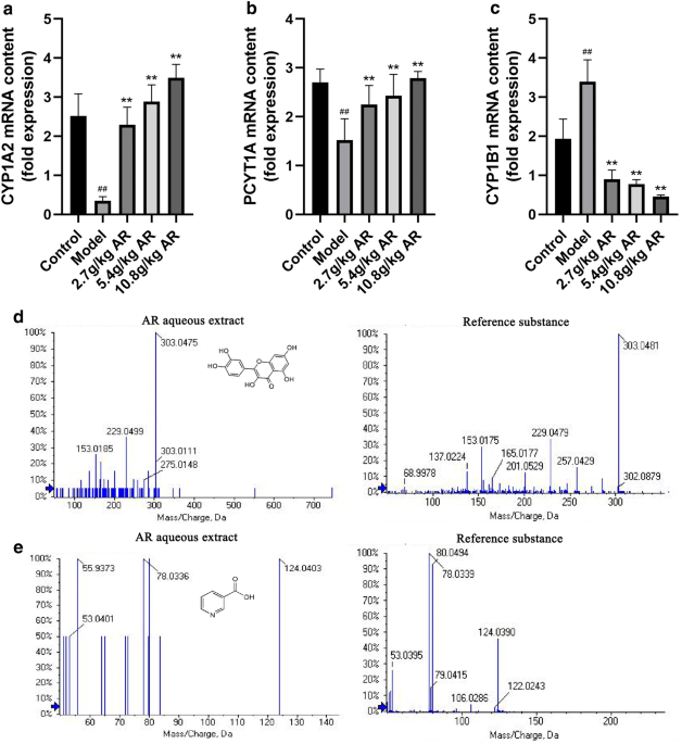 Monoacylglycerol Acyltransferase 2 (MGAT2) Inhibitors for the Treatment of  Metabolic Diseases and Nonalcoholic Steatohepatitis (NASH)