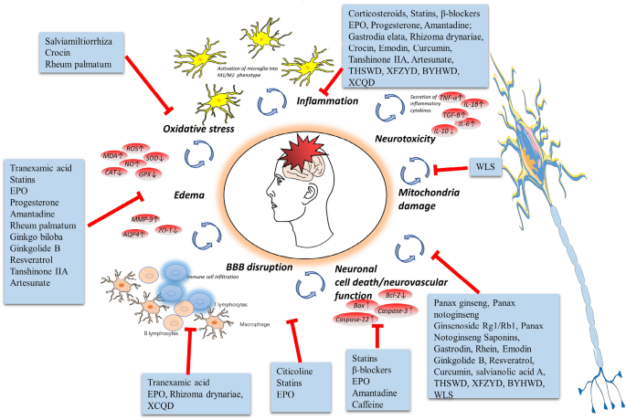 Erythropoietin in traumatic brain injury (EPO-TBI): a double-blind