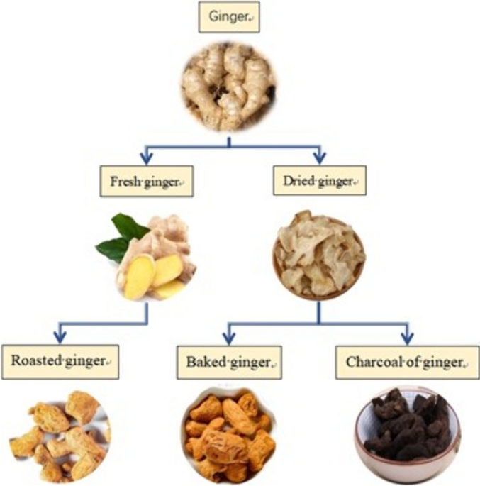chinese herbs glutathione Pharmacological activity and clinical application analysis of traditional Chinese  medicine ginger from the perspective of one source and multiple substances  | Chinese Medicine