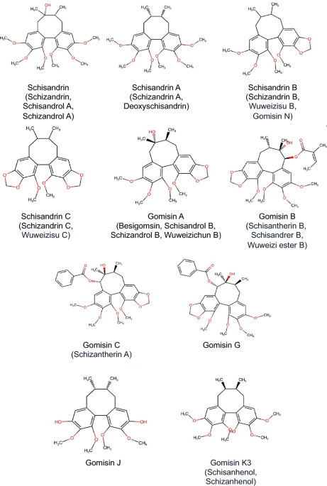 schisandra glutathione A comprehensive review of Schisandra chinensis lignans: pharmacokinetics,  pharmacological mechanisms, and future prospects in disease prevention and  treatment | Chinese Medicine