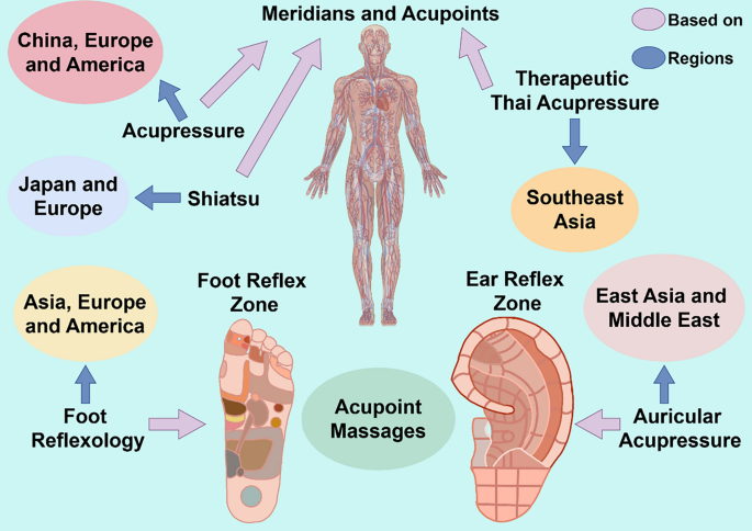 Acupoint massage: a comprehensive descriptive review of its forms,  applications, and underlying mechanisms | Chinese Medicine