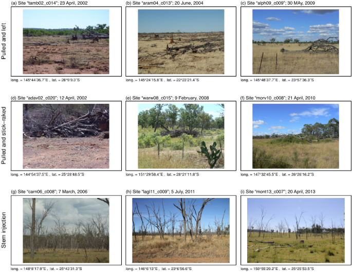 Physical and chemical properties of Coarse Woody Debris submitted to the  natural process of decomposition in a Secondary Atlantic Forest Fragment in  Brazil