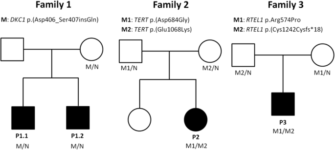 Cureus, Whole-Exome Sequencing Identified a Novel DYRK1A Variant in a  Patient With Intellectual Developmental Disorder, Autosomal Dominant 7