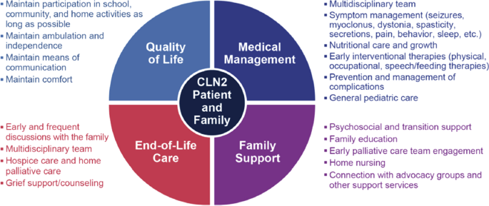 CLN2: o que é, causas e tratamento