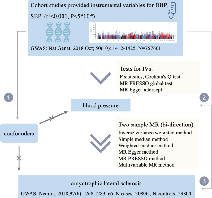 Assessing the role of blood pressure in amyotrophic lateral sclerosis: a Mendelian randomization study