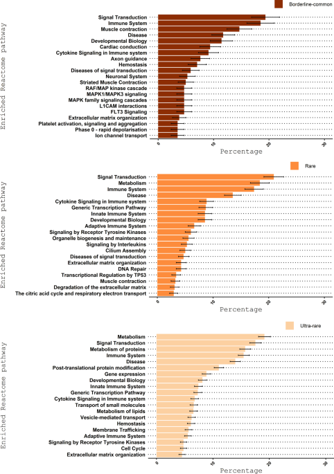 Robinow Syndrome: Most Up-to-Date Encyclopedia, News & Reviews