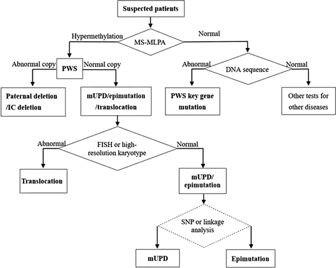 prader willi syndrome and glp 1 Prader-Willi symptoms signs do glp 1 work for