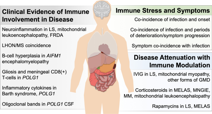 Mitochondrial Disease