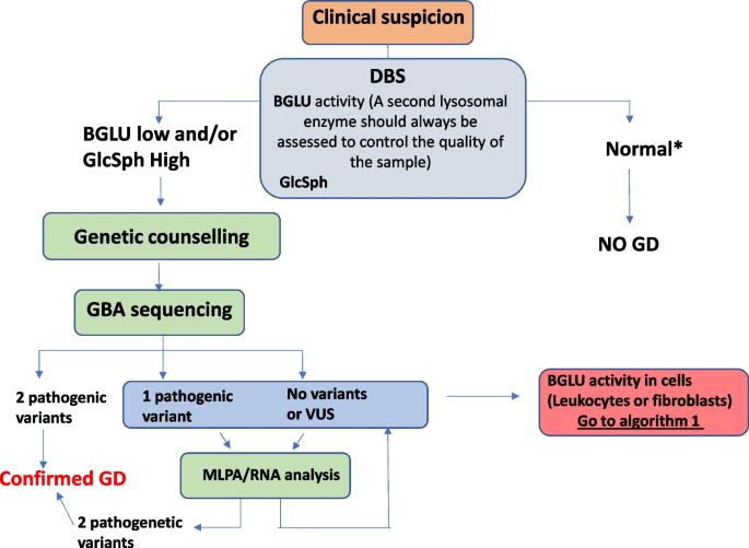 Proposed diagnostic algorithm for patients with suspected Niemann