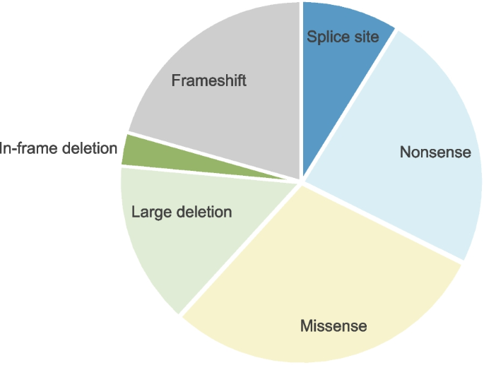 New insights into genetic variant spectrum and genotype–phenotype