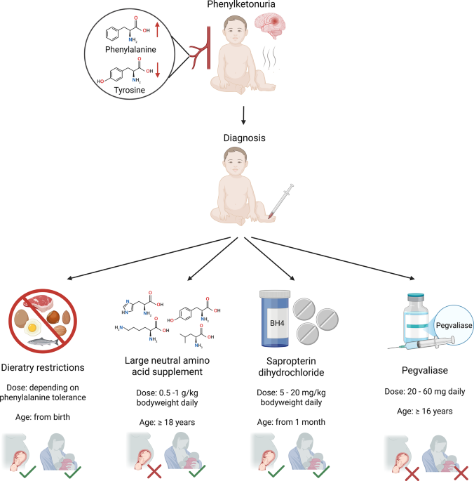 is l carnitine safe for 16 year olds Current state of the treatment landscape of phenylketonuria | Orphanet Journal of Rare Diseases