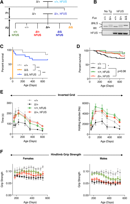 Wild-type FUS corrects ALS-like disease induced by cytoplasmic mutant FUS through autoregulation