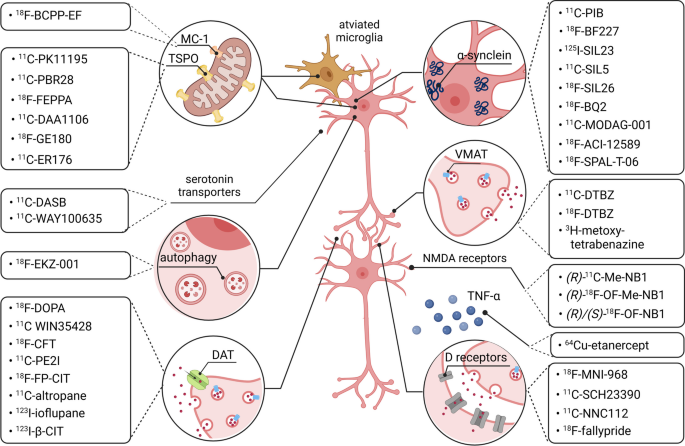 Imaging biomarkers in Parkinson's disease and Parkinsonian