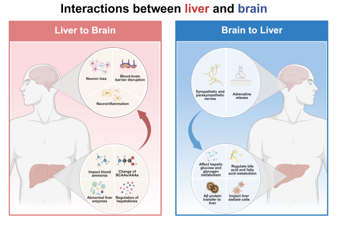 how often do you inject igf-1 lr3 7 IGF-1 Side Effects: What Bodybuilders Need to Know