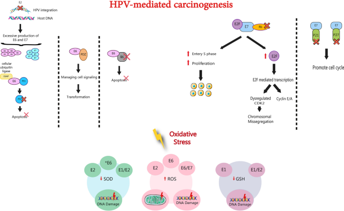 glutathione hpv Glutathione Benefits – Skin Whitening, Detox & Anti-Aging main image 0