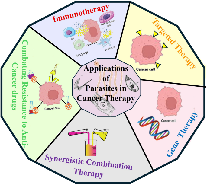 Bridging the gap for diverse applications of parasites as advanced cancer therapeutics: current progress and future directions | Infectious Agents and Cancer | Springer Nature Link Bridging the gap for diverse applications of parasites as advanced cancer therapeutics: current progress and future directions | Infectious Agents and Cancer | Springer Nature Link