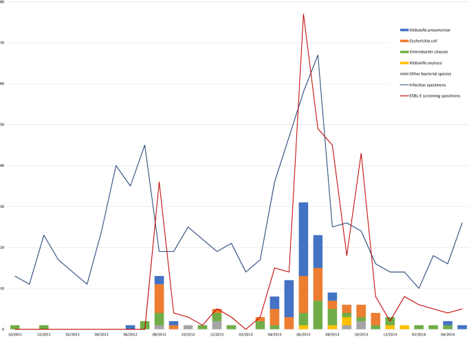 Characterisation of and risk factors for extended-spectrum β-lactamase producing Enterobacterales (ESBL-E) in an equine hospital with a special reference to an outbreak caused by Klebsiella pneumoniae ST307:CTX-M-1