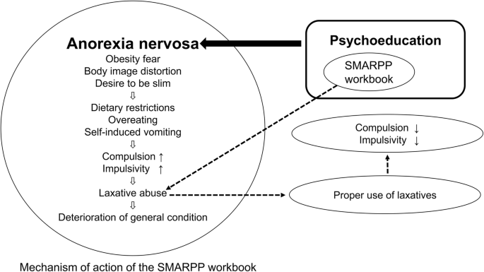 Controlling the laxative abuse of anorexia nervosa patients with the  Serigaya Methamphetamine Relapse Prevention Program workbook: a case report  | BioPsychoSocial Medicine | Full Text