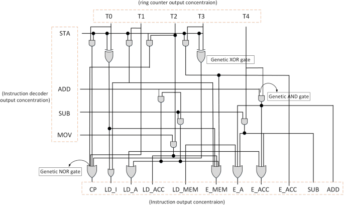 Diagram of experimental set-up: (1) ultrasonic probe, (2) transductor,... |  Download Scientific Diagram