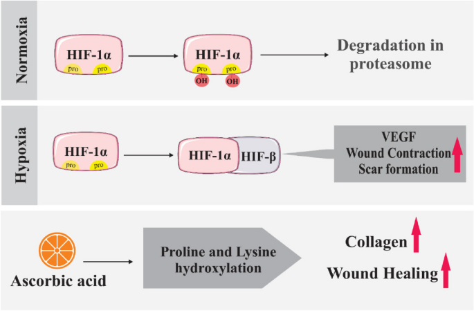glutathione should be taken with What is glutathione and why must we protect patient access to it?