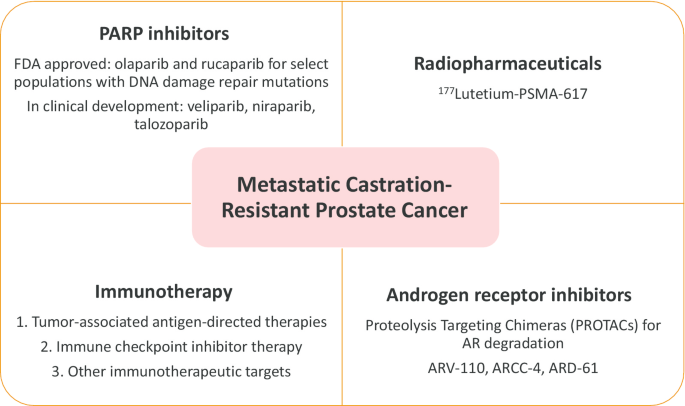 Rucaparib or Physician's Choice in Metastatic Prostate Cancer