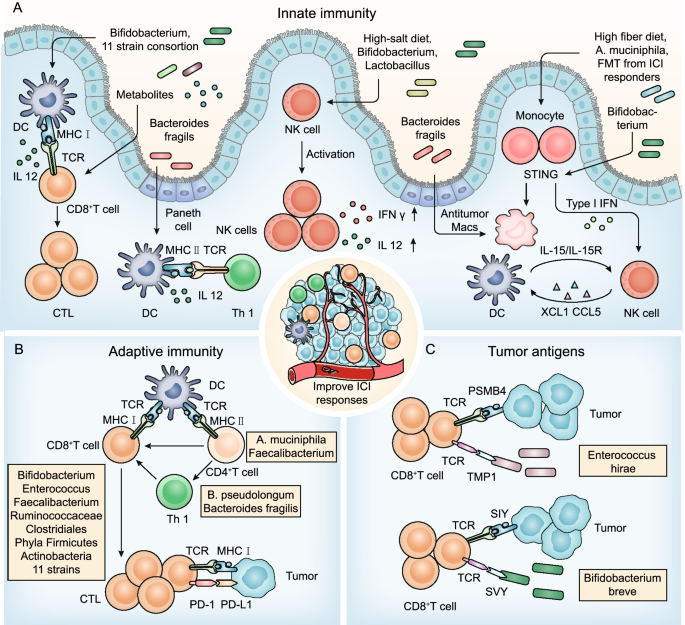 Plant pathogen evades immune system by targeting the microbiome