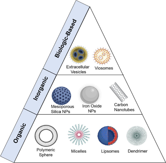 A Folate Receptor-Targeting Nanoparticle Minimizes Drug Resistance