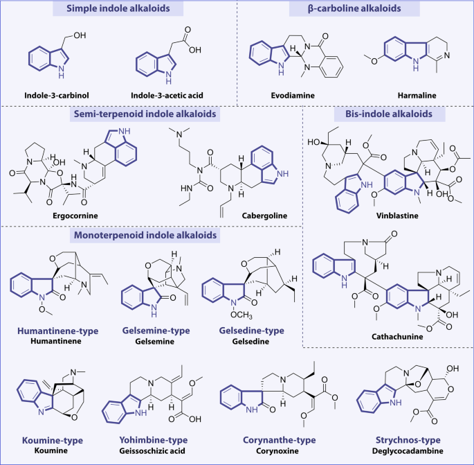 POSTER - FUNKY FASHIONISTAS: plausible mechanism of enzyme-driven oxidative  rearrangement of strictosidine-derived intermediates leading to  monoterpenoid indole alkaloids quinine, gelsemine and strychnine (check the  bottom of the poster for references ...