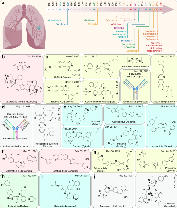 Small-molecule inhibitors, immune checkpoint inhibitors, and more