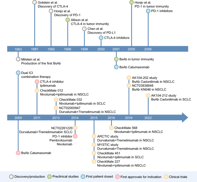 Dual blockade immunotherapy targeting PD-1/PD-L1 and CTLA-4 in lung cancer