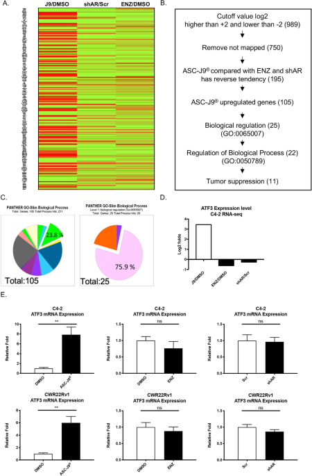 jeccr.biomedcentral.com