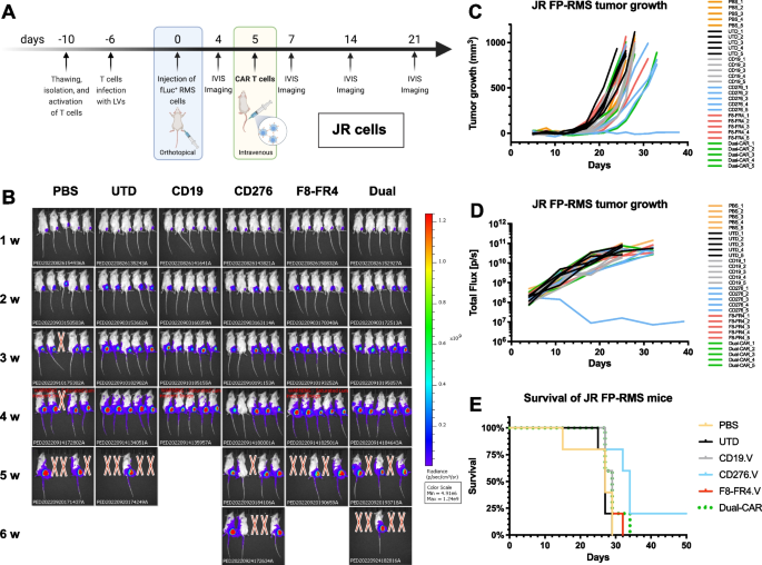 GPC2-CAR T cells tuned for low antigen density mediate potent